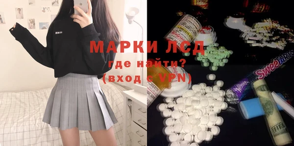 прущие грибы Абинск