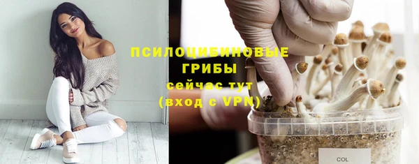 бошки Абаза