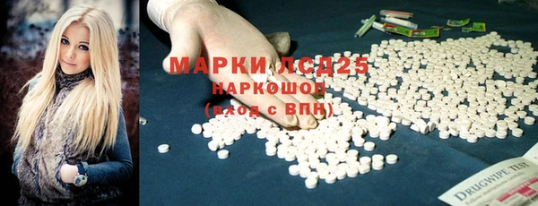 прущие грибы Абинск