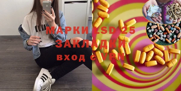 прущие грибы Абинск