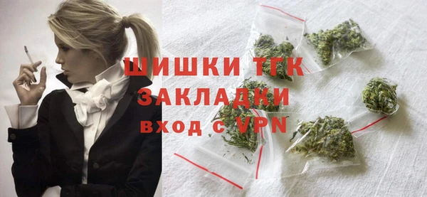 прущие грибы Абинск