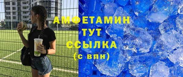 прущие грибы Абинск